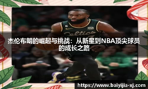NG体育平台